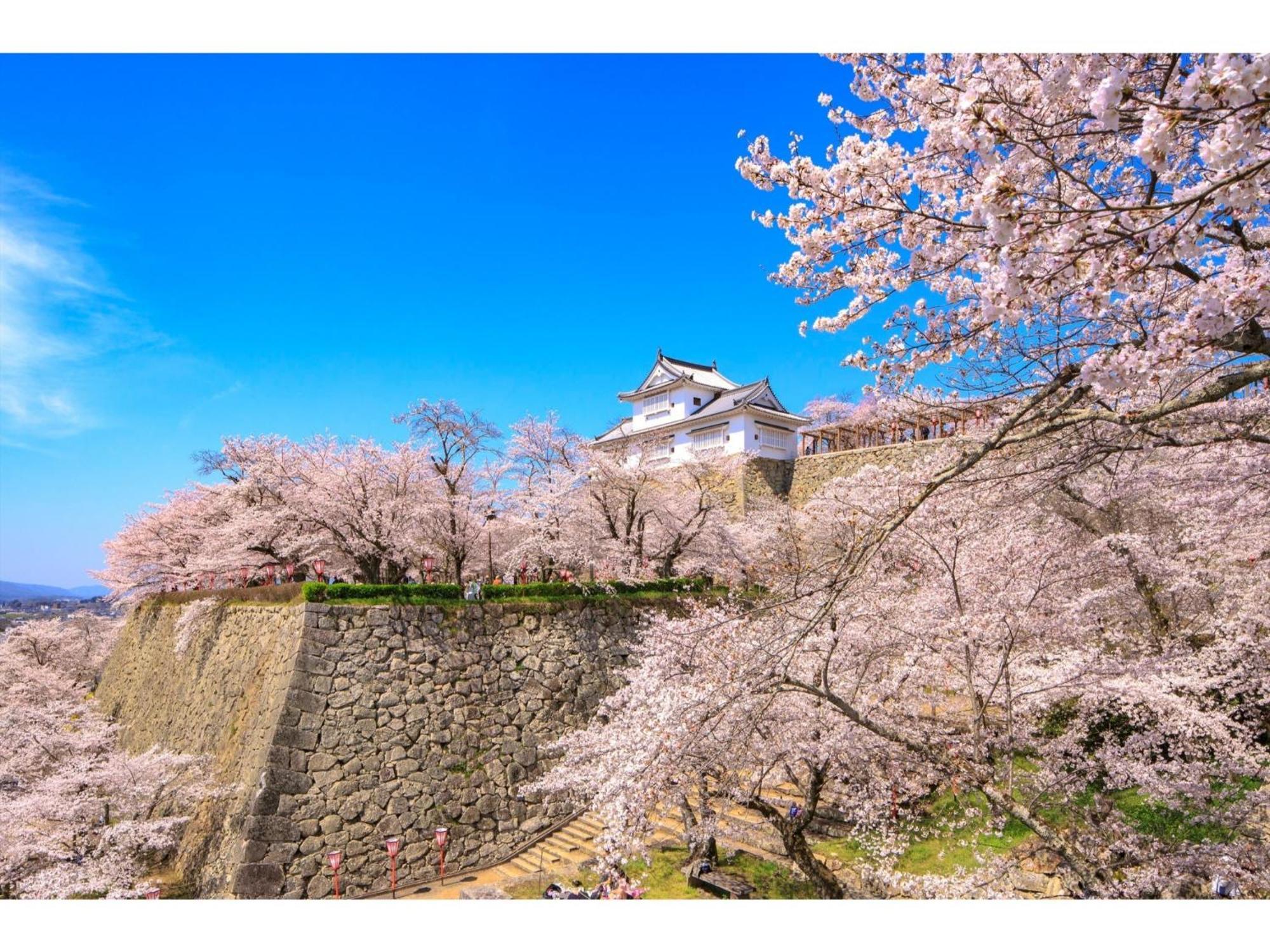 Tsuyama Kakuzan Hotel - Vacation Stay 75683V Exterior photo